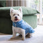 Chaleco acolchado para perros FuzzYard Life French Blue