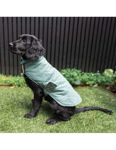 Chaleco acolchado para perros FuzzYard Life Myrtle Green