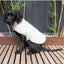 Chaleco acolchado para perros FuzzYard Life Sandstone