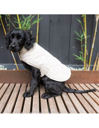 Chaleco acolchado para perros FuzzYard Life Sandstone