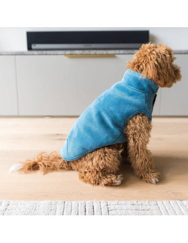 Chaqueta de pana para perros FuzzYard Life French Blue