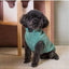 Chaqueta de pana para perros FuzzYard Life Myrtle Green