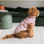 Chaqueta de pana para perros FuzzYard Life Soft Blush