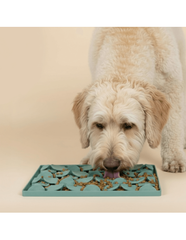 Alfombra lamedora para perros FuzzYard Life Myrtle Green