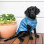 Chubasquero impermeable para perros FuzzYard Life French Blue