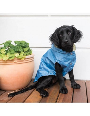 Chubasquero impermeable para perros FuzzYard Life French Blue