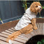 Chubasquero impermeable para perros FuzzYard Life Sandstone
