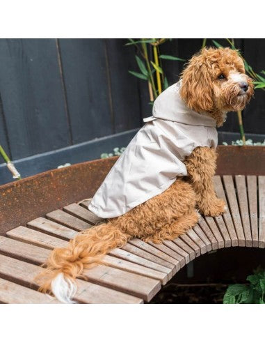 Chubasquero impermeable para perros FuzzYard Life Sandstone