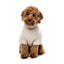 Jersey bouclé para perros FuzzYard Life Sandstone