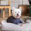 Pijama de tacto suave para perros FuzzYard Life Slate Grey