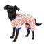 Pijama para perros frioleros FuzzYard Sleepy Time