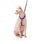 Arnés para gatos con correa FuzzYard Wild One Bubblegum