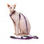 Arnés para gatos con correa FuzzYard Wild One Bubblegum