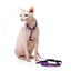 Arnés para gatos con correa FuzzYard Wild One Bubblegum