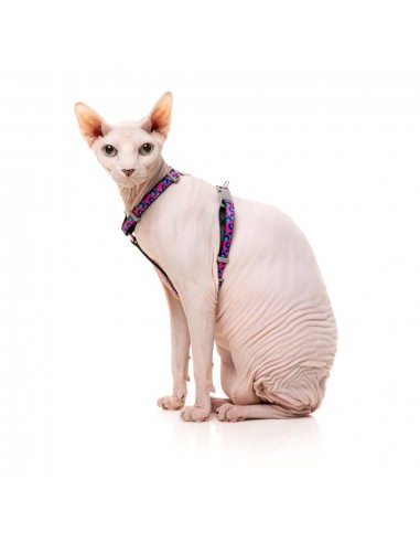 Arnés para gatos con correa FuzzYard Wild One Bubblegum