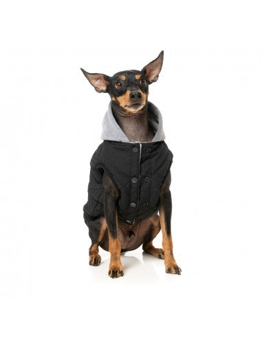 Sudadera con capucha para perros FuzzYard Cremorne negro (talla 6)