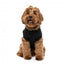 Sudadera para perros FuzzYard Easily Distracted by Food (talla 1)