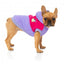 Sudadera con capucha para perros FuzzYard Oregon lavanda