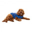 Sudadera con capucha para perros FuzzYard The Homies azul (talla 1)