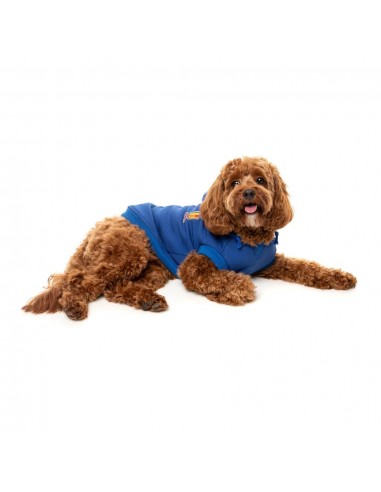 Sudadera con capucha para perros FuzzYard The Homies azul (talla 1)
