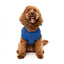 Sudadera con capucha para perros FuzzYard The Homies azul (talla 1)