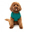 Sudadera con capucha para perros FuzzYard The Homies verde (talla 1)