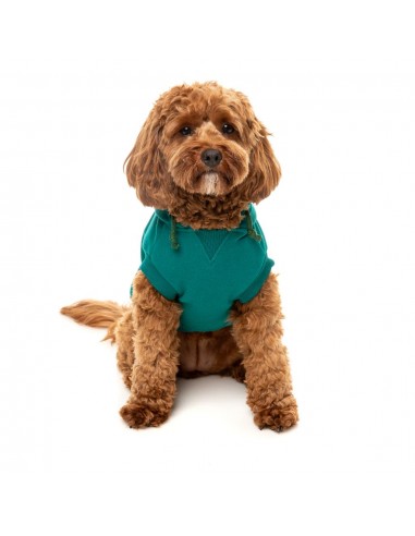 Sudadera con capucha para perros FuzzYard The Homies verde (talla 1)