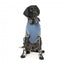 Sudadera con capucha para perros FuzzYard Treats azul (talla 6)