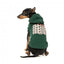 Sudadera con capucha para perros FuzzYard Treats verde (talla 1)