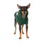 Sudadera con capucha para perros FuzzYard Treats verde (talla 1)