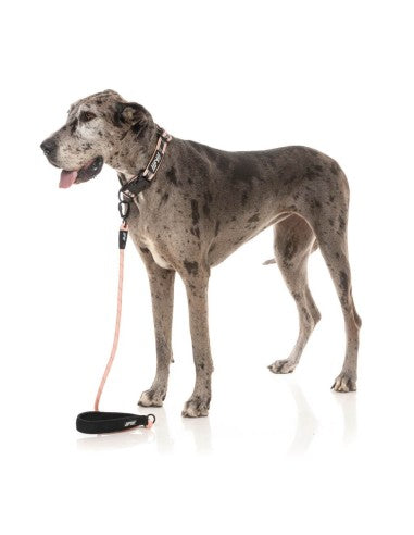 Correa de cuerda para perros FuzzYard FY Active melocotón
