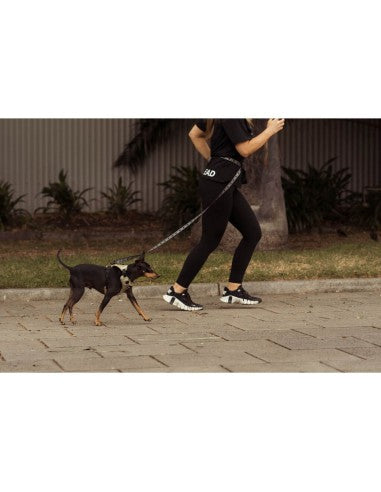 Correa manos libres para perros FuzzYard FY Active 220 cm