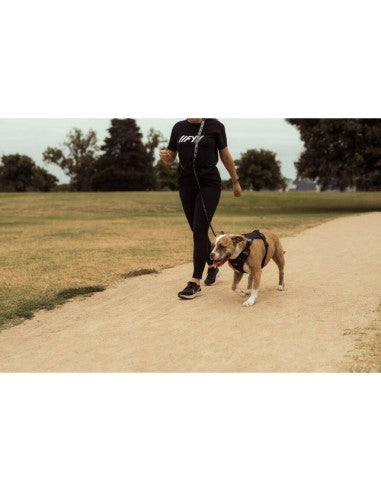 Correa multifunción 6 en 1 para perros FuzzYard FY Active