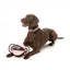 Pelota de tirar para perros FuzzYard Ball Tug melocotón