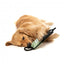 Juguete de tirar para perros FuzzYard Rope Tug khaki