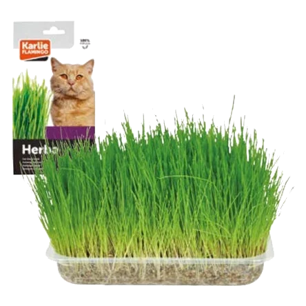Hierba 100gr para gatos