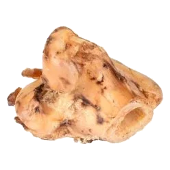 Hueso de tibia Nature para perros 13-14 cm