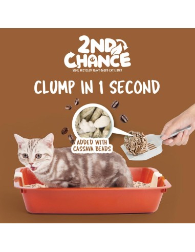 Arena para gatos aglomerante de café Kit Cat 2nd Chance 7 L