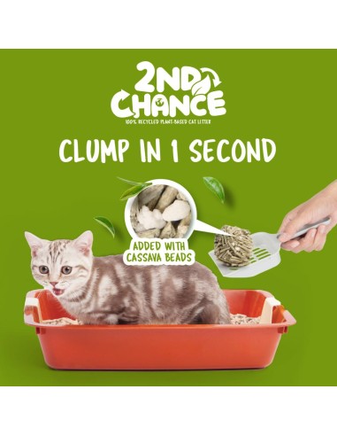 Arena para gatos aglomerante de té verde Kit Cat 2nd Chance
