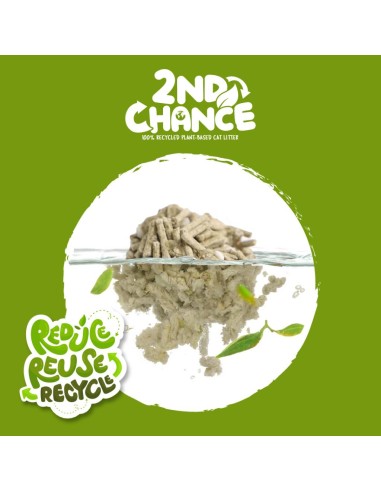 Arena para gatos aglomerante de té verde Kit Cat 2nd Chance