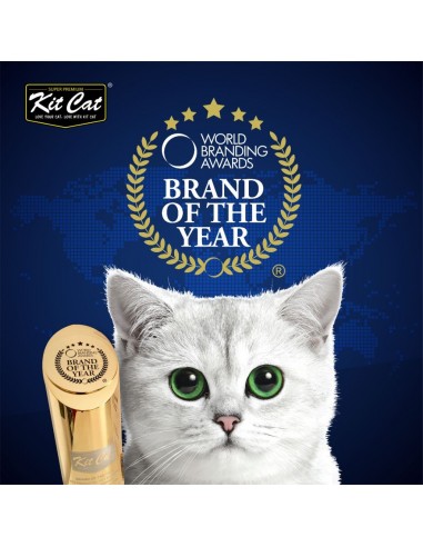 Comida húmeda para gatos Kit Cat Gravy pollo y salmón 70 g