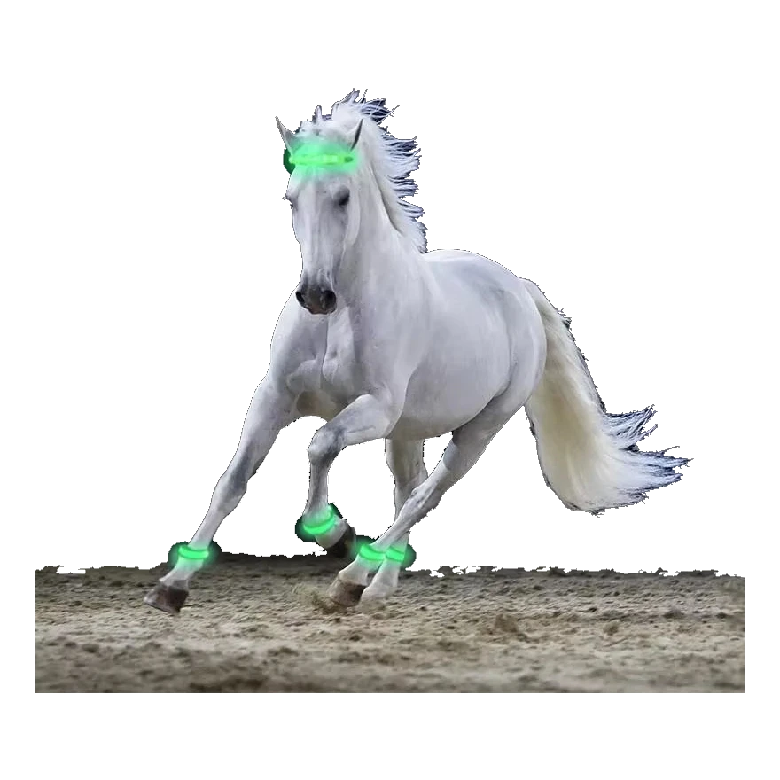 Caballo blanco con bandas LED en las patas