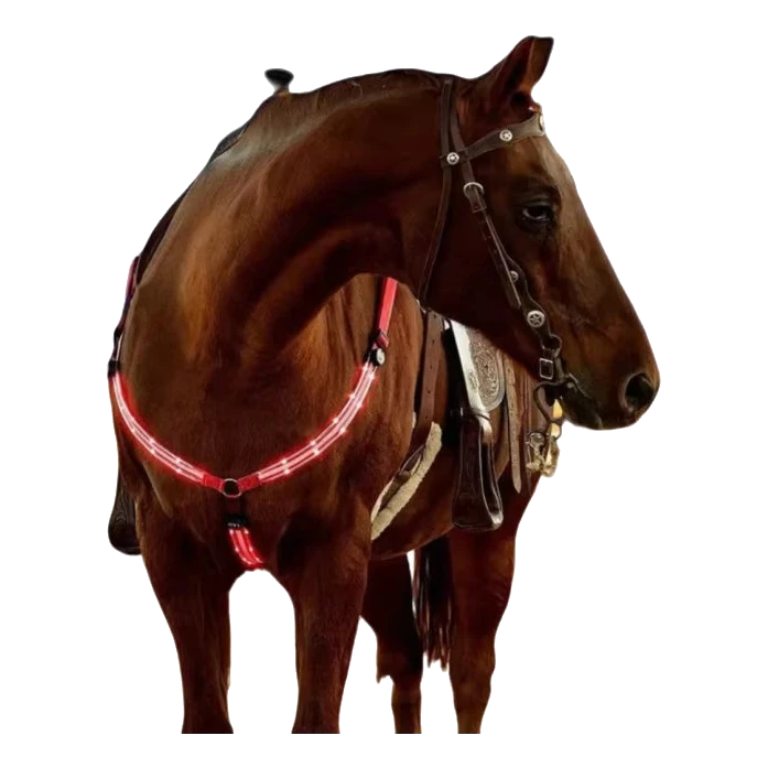 Caballo con kit de luces LED rojo en el petral
