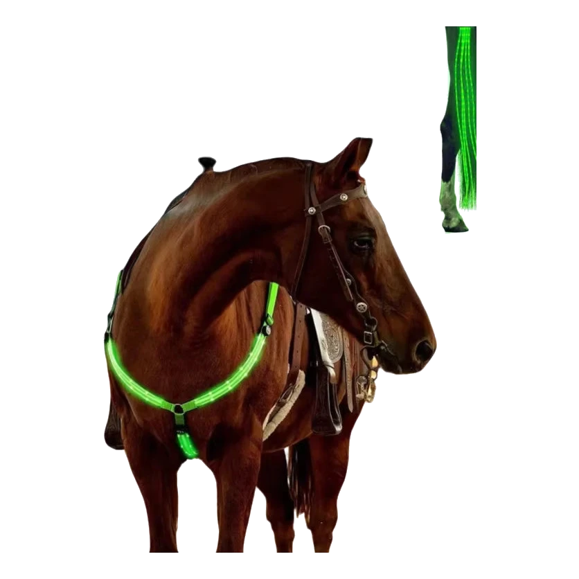 Caballo con kit de luces LED verde en el petral y las patas
