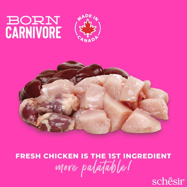 Schesir pienso born carnivore kitten pollo con huevo 1,25 kg para gatos - imagen 2