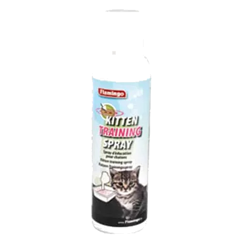 Kitten trainer para gatos
