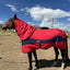 Manta impermeable de invierno para caballo con capucha - vista 2