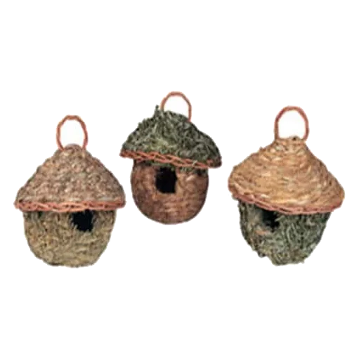 Nidos tropicales para pájaros