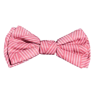 Pajarita para perros FuzzYard Thornbury Brick Red con velcro