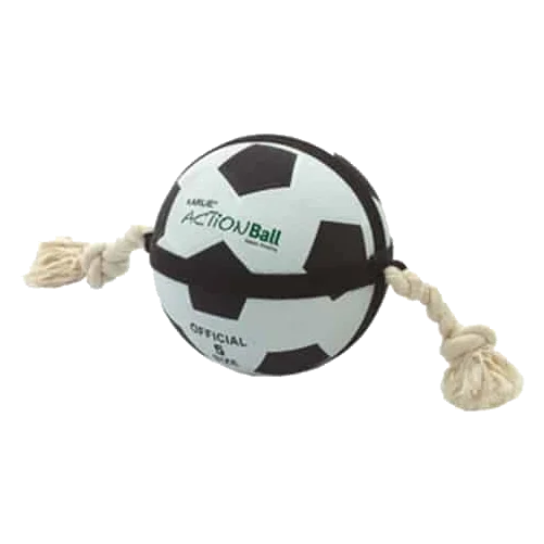 Pelota Actionbal de 19 o 22 cm para perros
